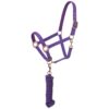 Tough1 Padded Horse Halter with Antique Hardware and Lead Rope