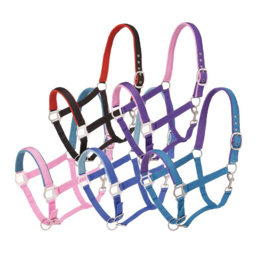 Tough1 Padded Horse Halter with Satin Hardware - 5 Pack