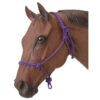 Tough1 Poly Rope Halter 2 Tough1 Poly Rope Halter