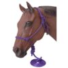 Tough1 Poly Rope Halter with Lead 2 Tough1 Poly Rope Halter with Lead