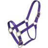 Tough1 Premium Halter - Yearling 1 Tough1 Premium Halter - Yearling