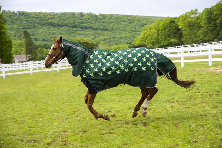 Pony best sale rider blanket