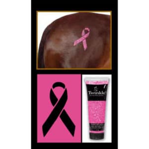 Twinkle Breast Cancer Awareness Stencil Kit