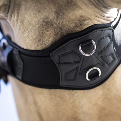 Western Cinch V22 ProMotion