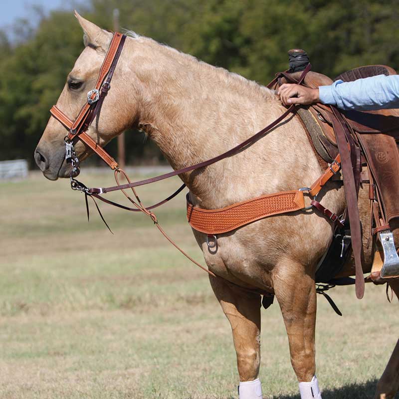 1-1/4” Leather Spider Stamp Noseband 5 Cowboy Tack 1-1/4” Golden Leather Spider Stamp Noseband