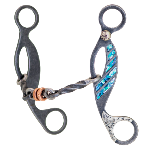 Cowboy Tack Turquoise Collection Grey Steel Dog Bone Gag Bit