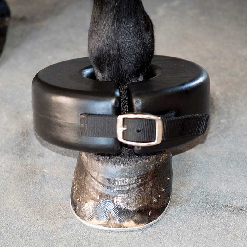 Shoe Boil Boots 3 Shoe Boil Boots