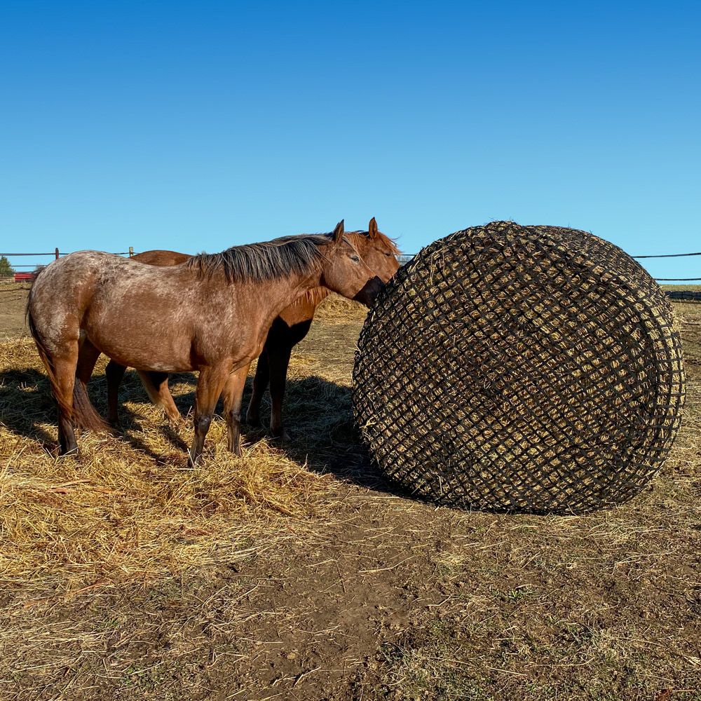Tough1 6 x 6 Hybrid Large Bale Slow Feeder 3 Tough1 6 x 6 Hybrid Large Bale Feeder